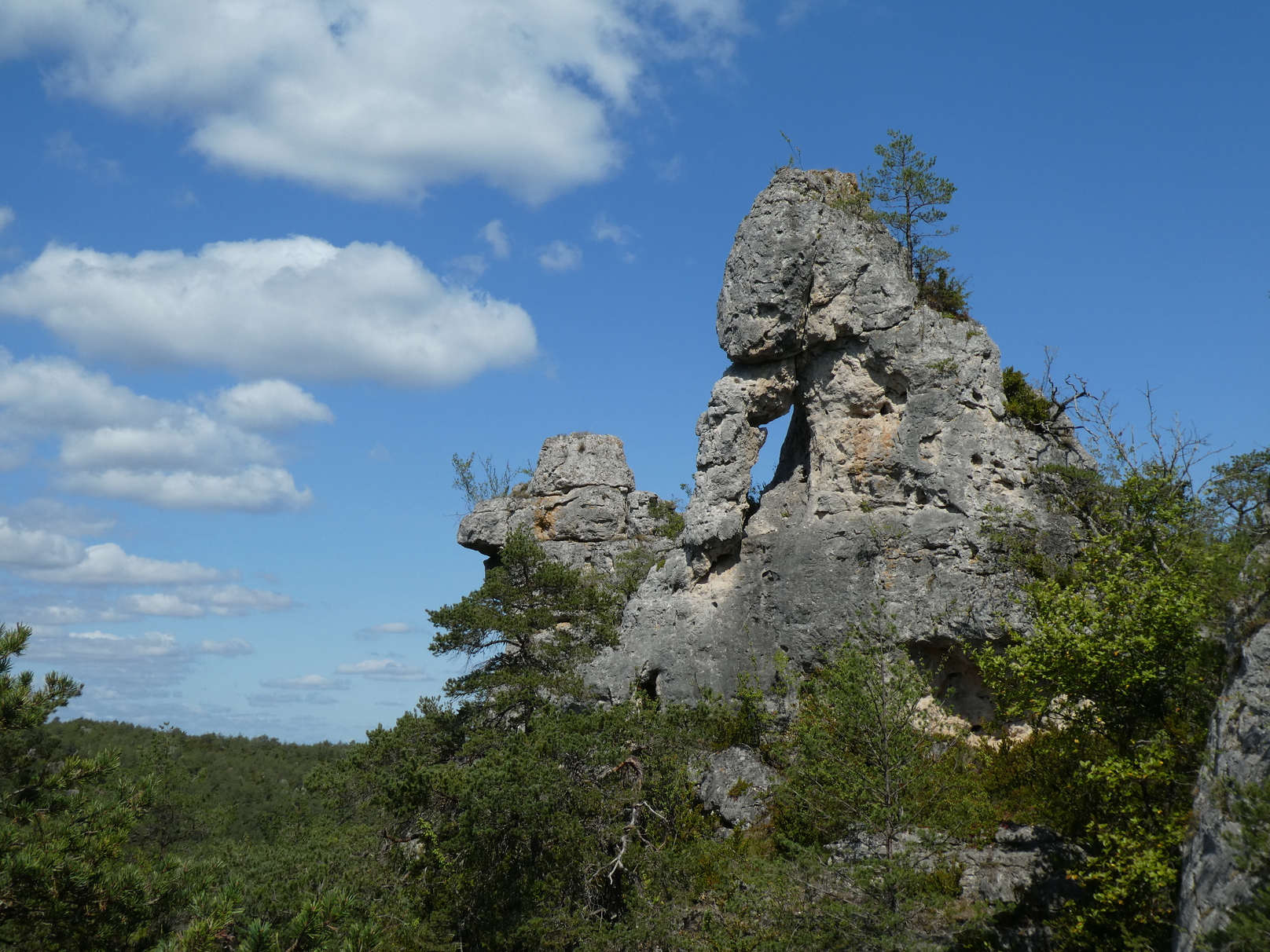ArcheBresse1.jpg