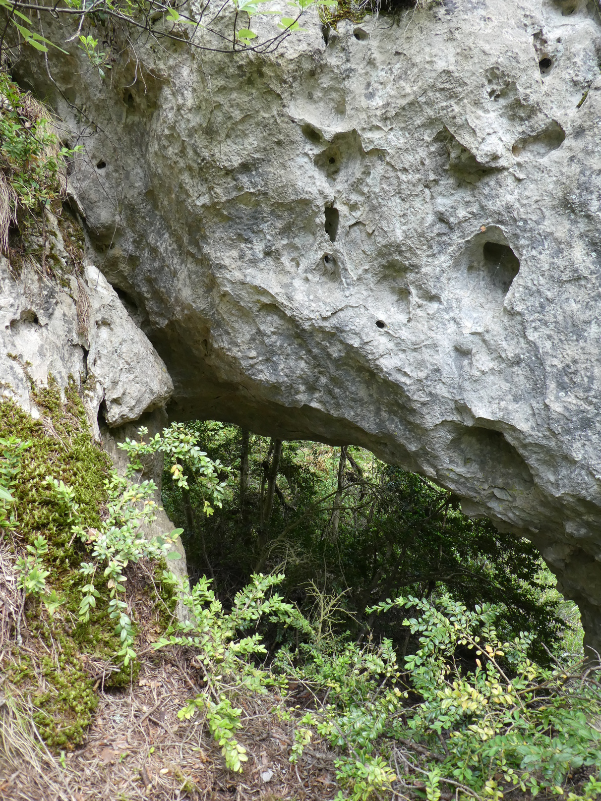 ArcheFontaineRouquet.jpg