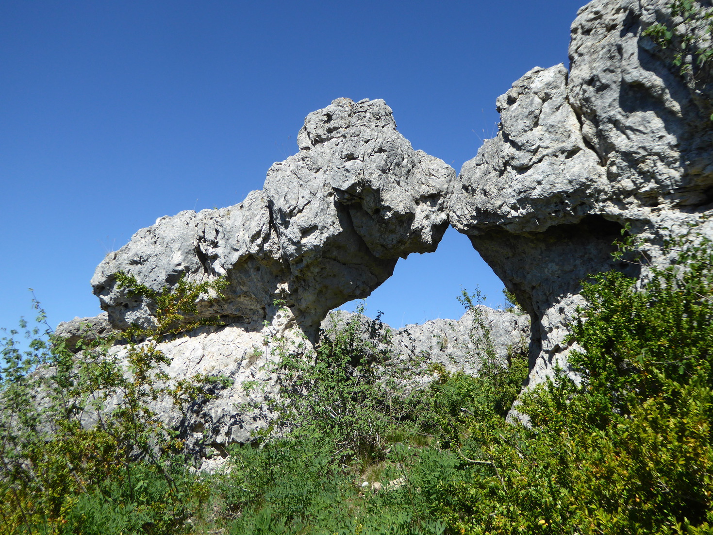 Archebartas.jpg