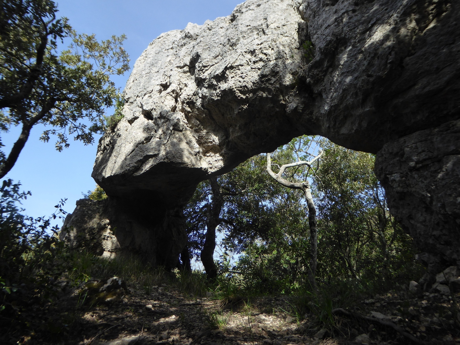 Archebidoufles1.jpg