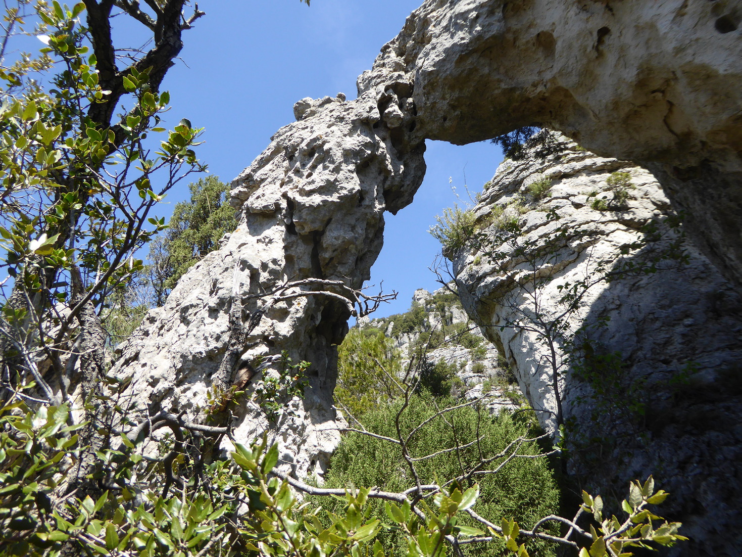 Archefriginiaires1.jpg