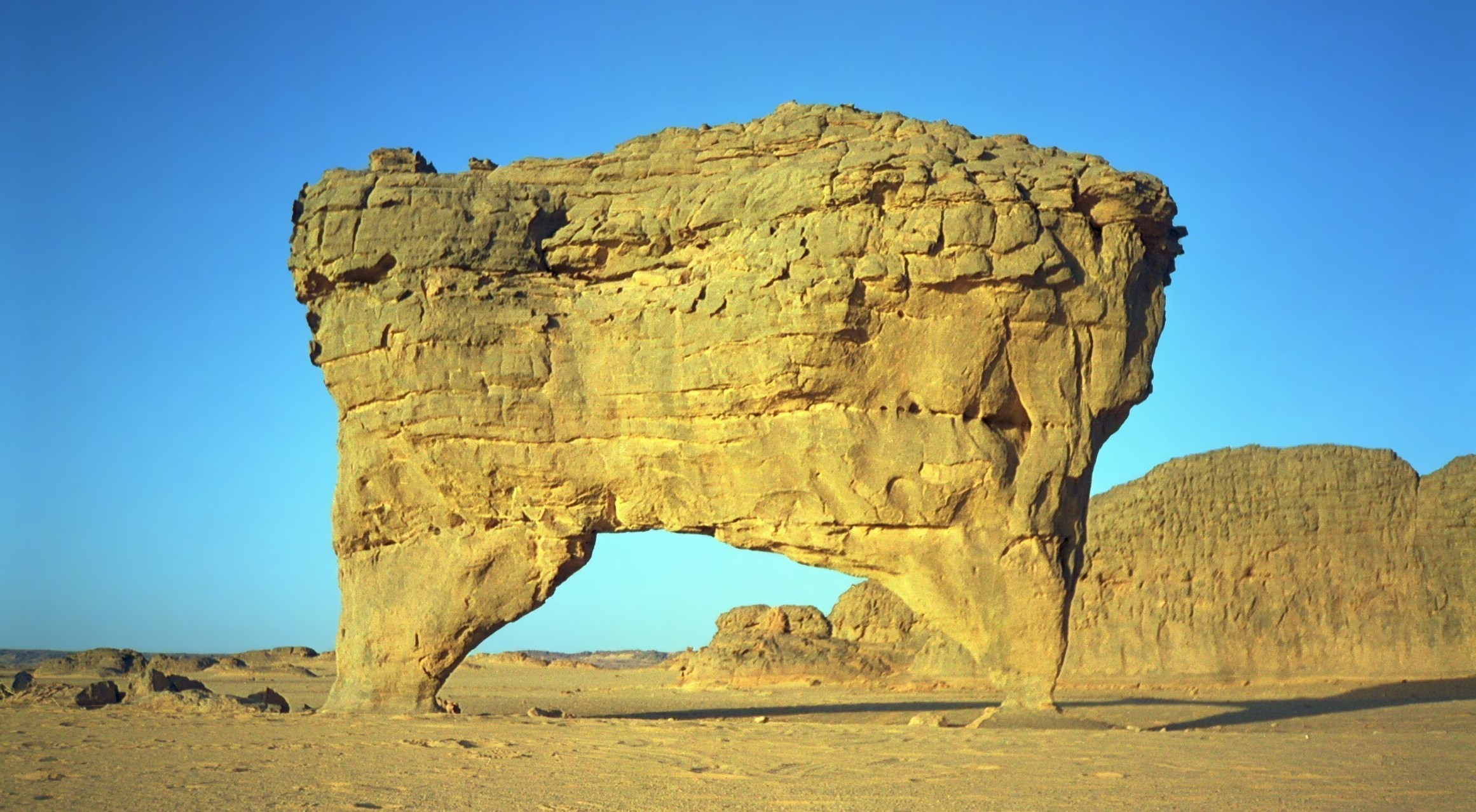 Bi-Pod Arch