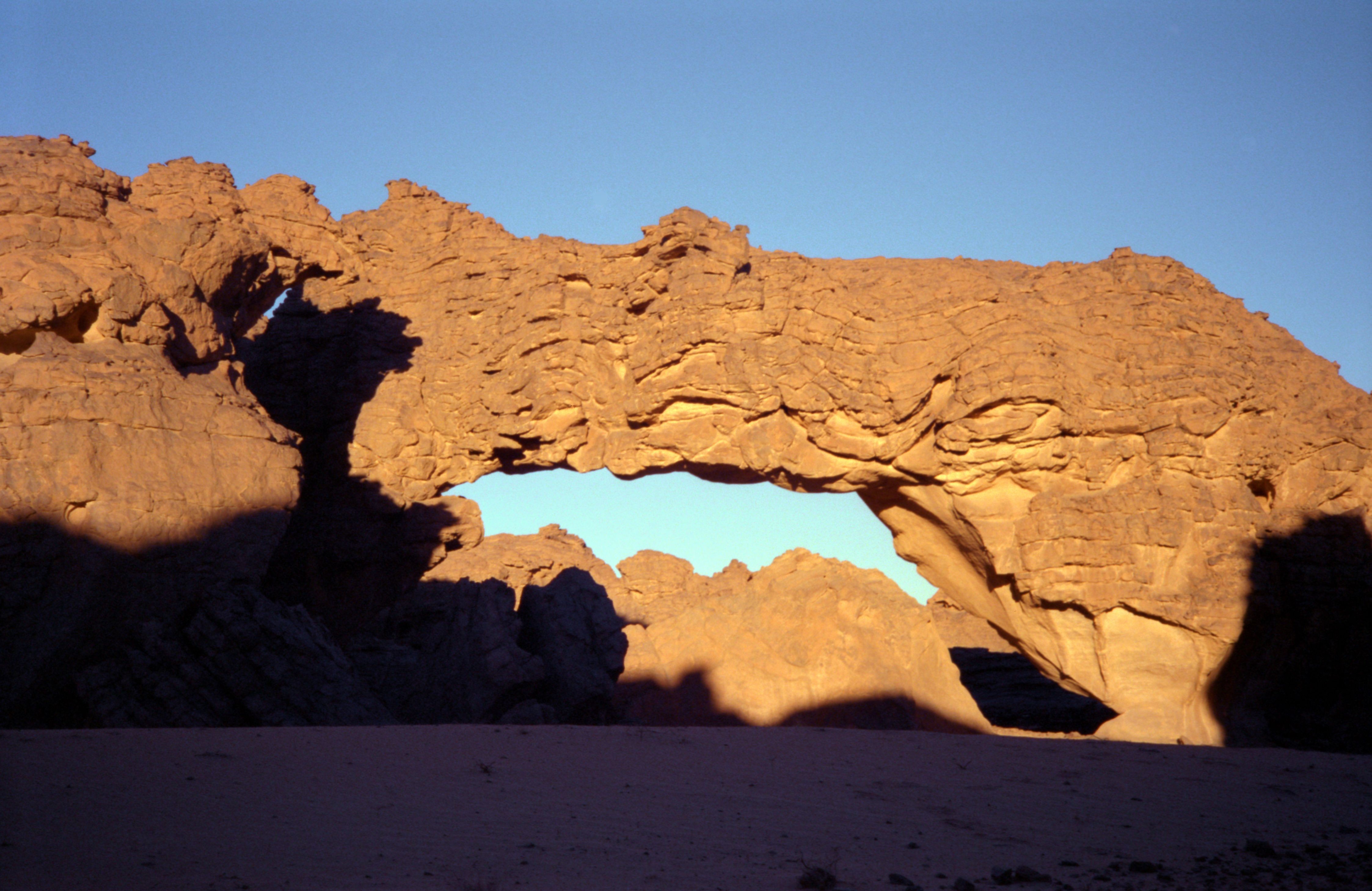 BovidaePaintingArch2.jpg