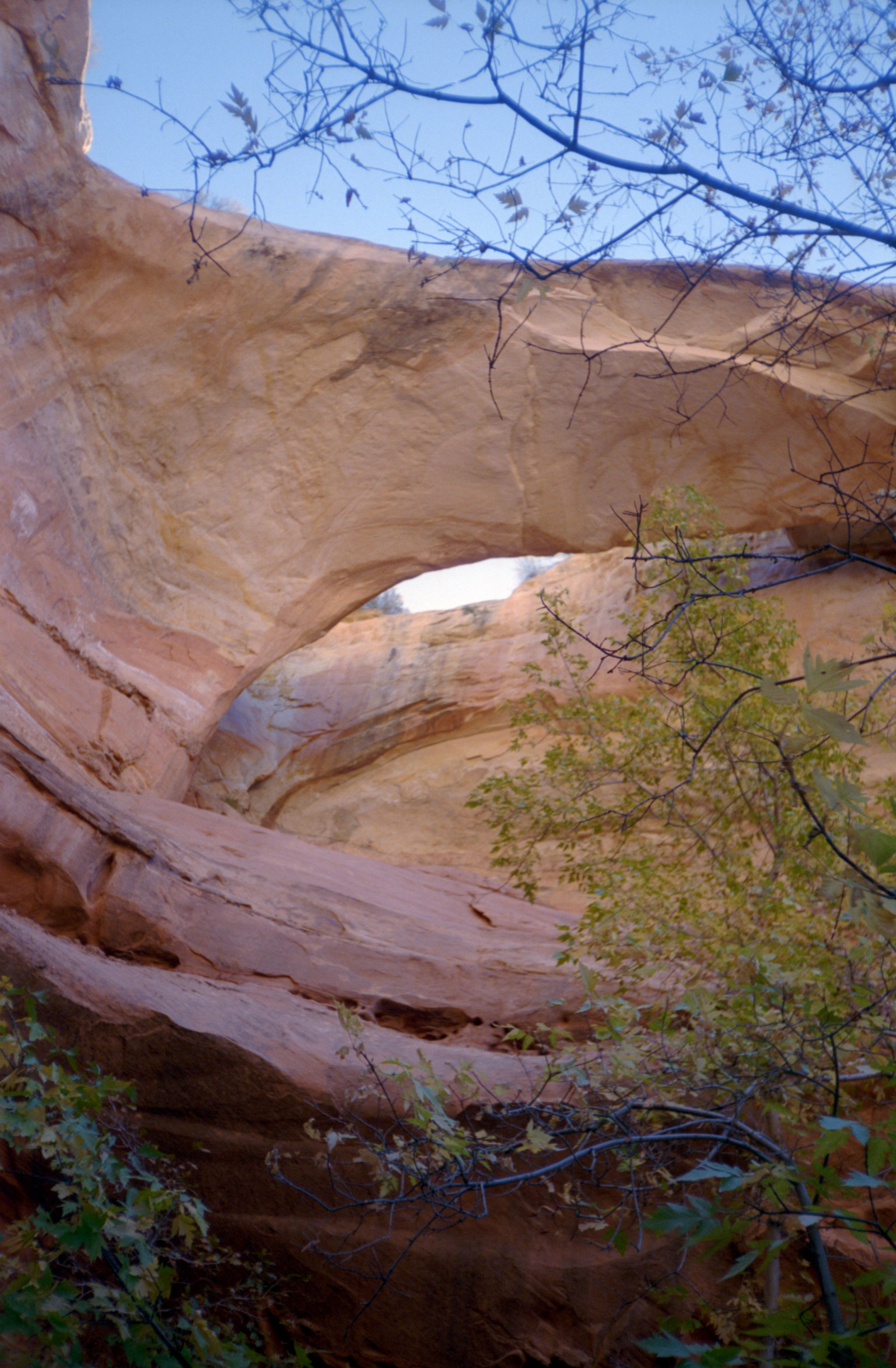 Bowington Arch