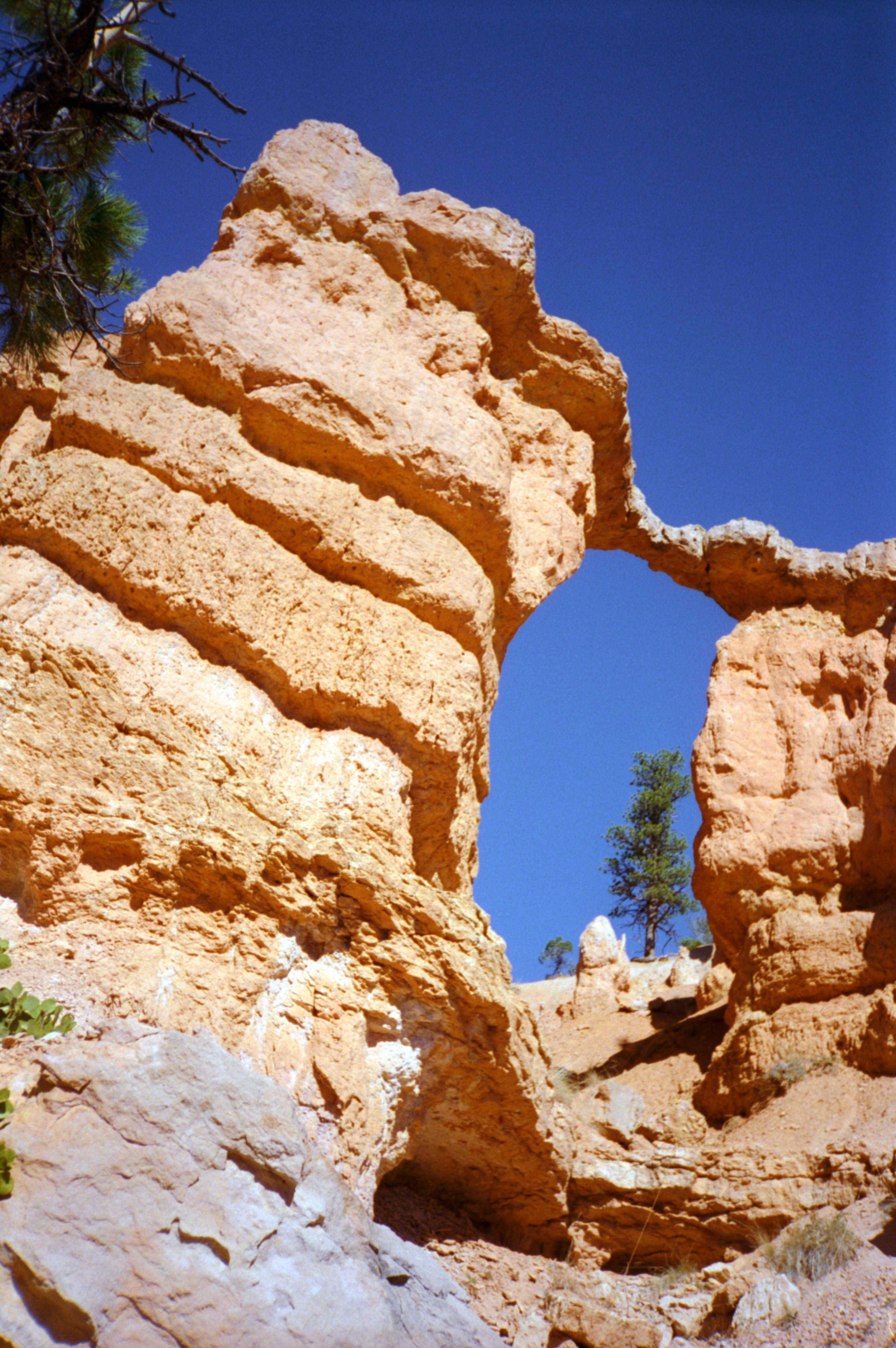 BryceCanyon1.2.jpg