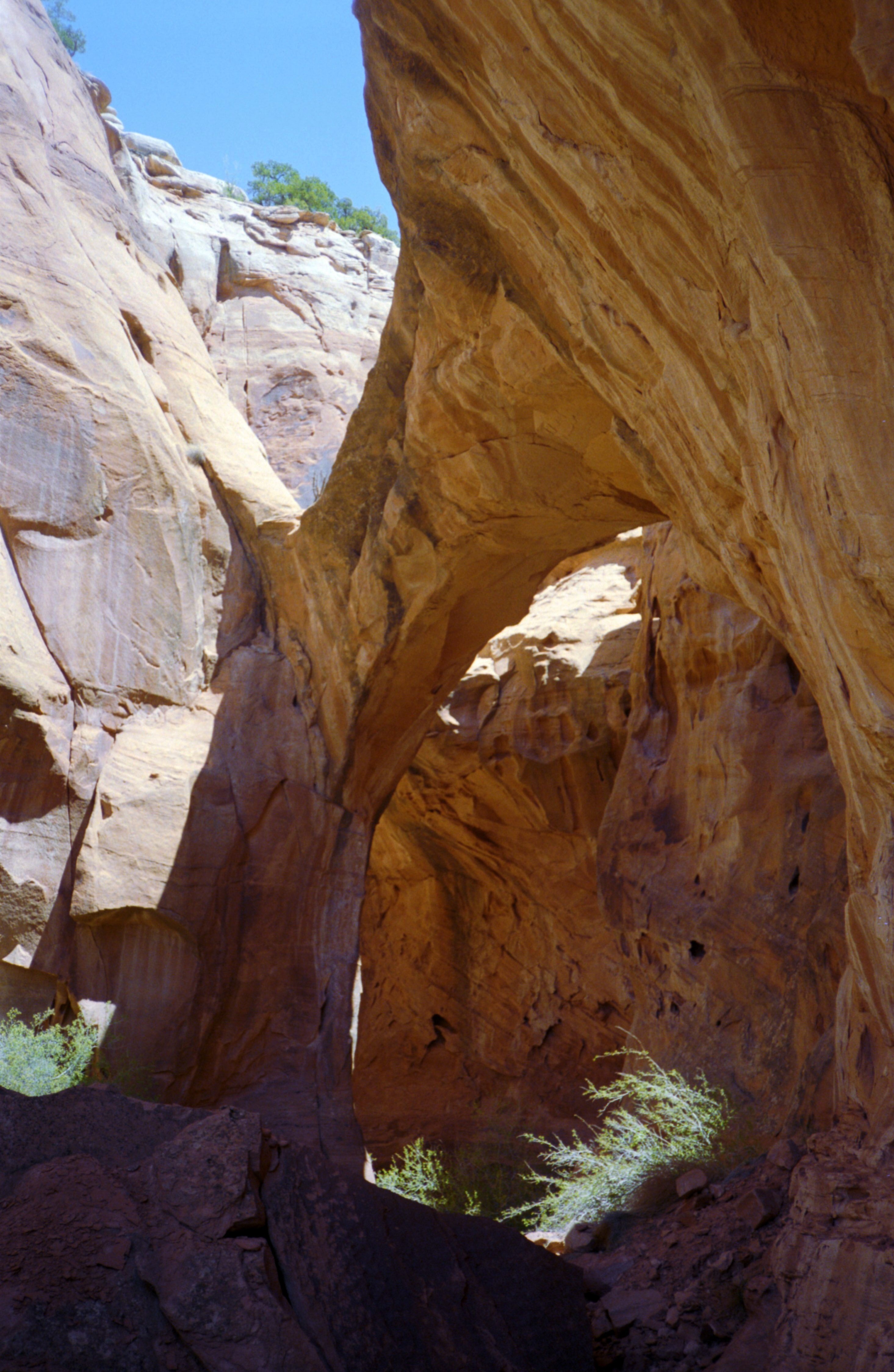 CanyonBridge1.jpg