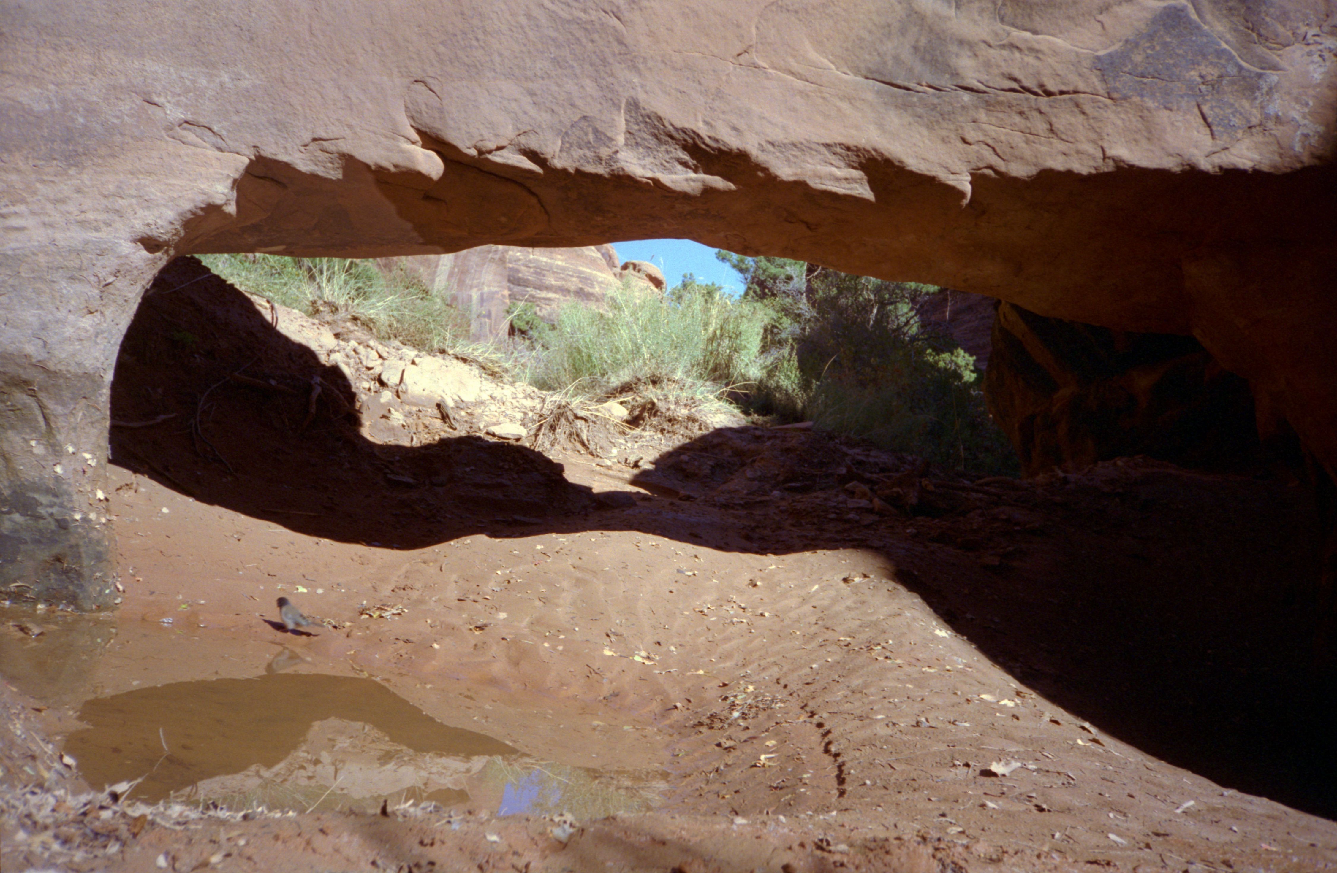 CanyonBridgeANP1.jpg