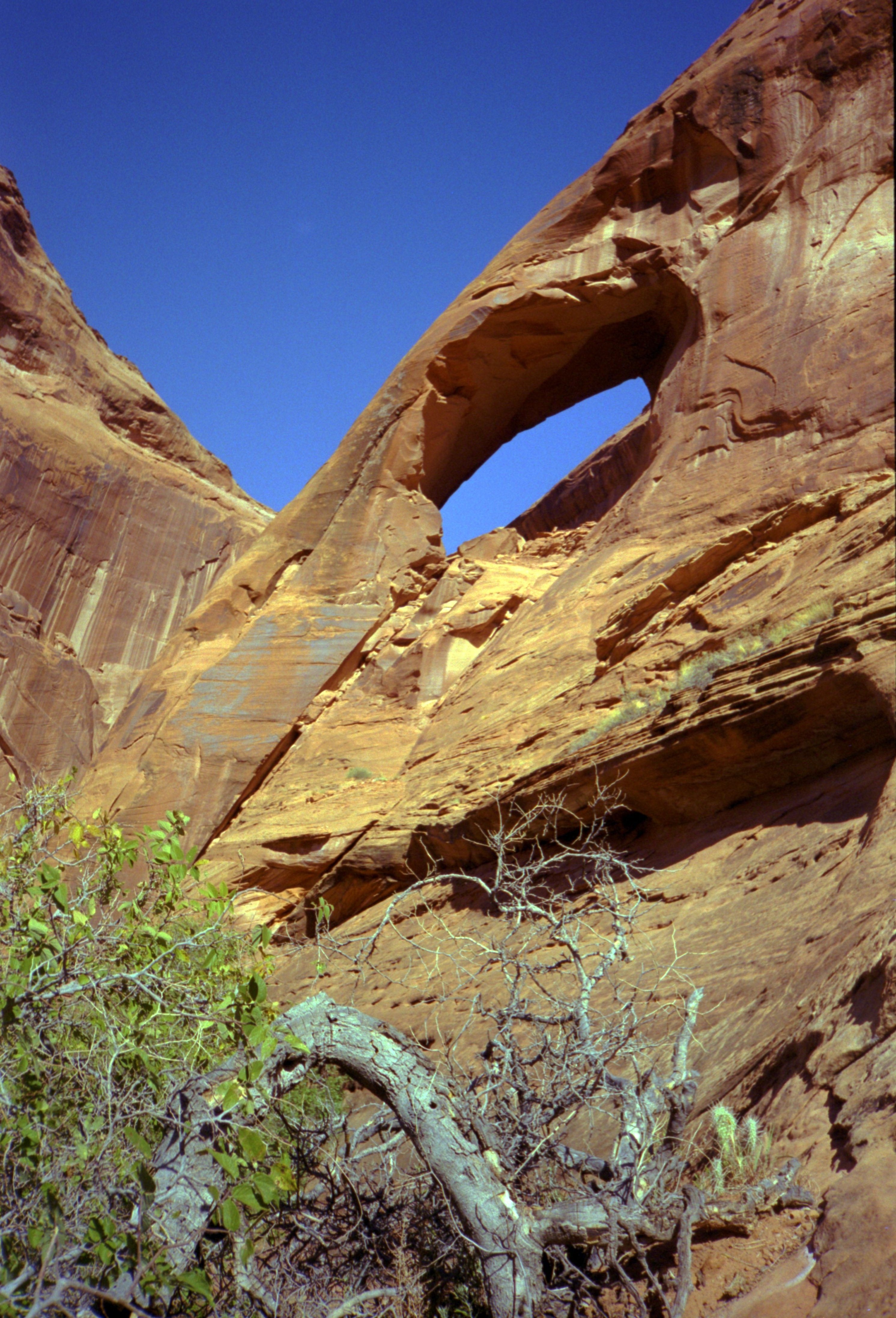 CliffArch3.jpg