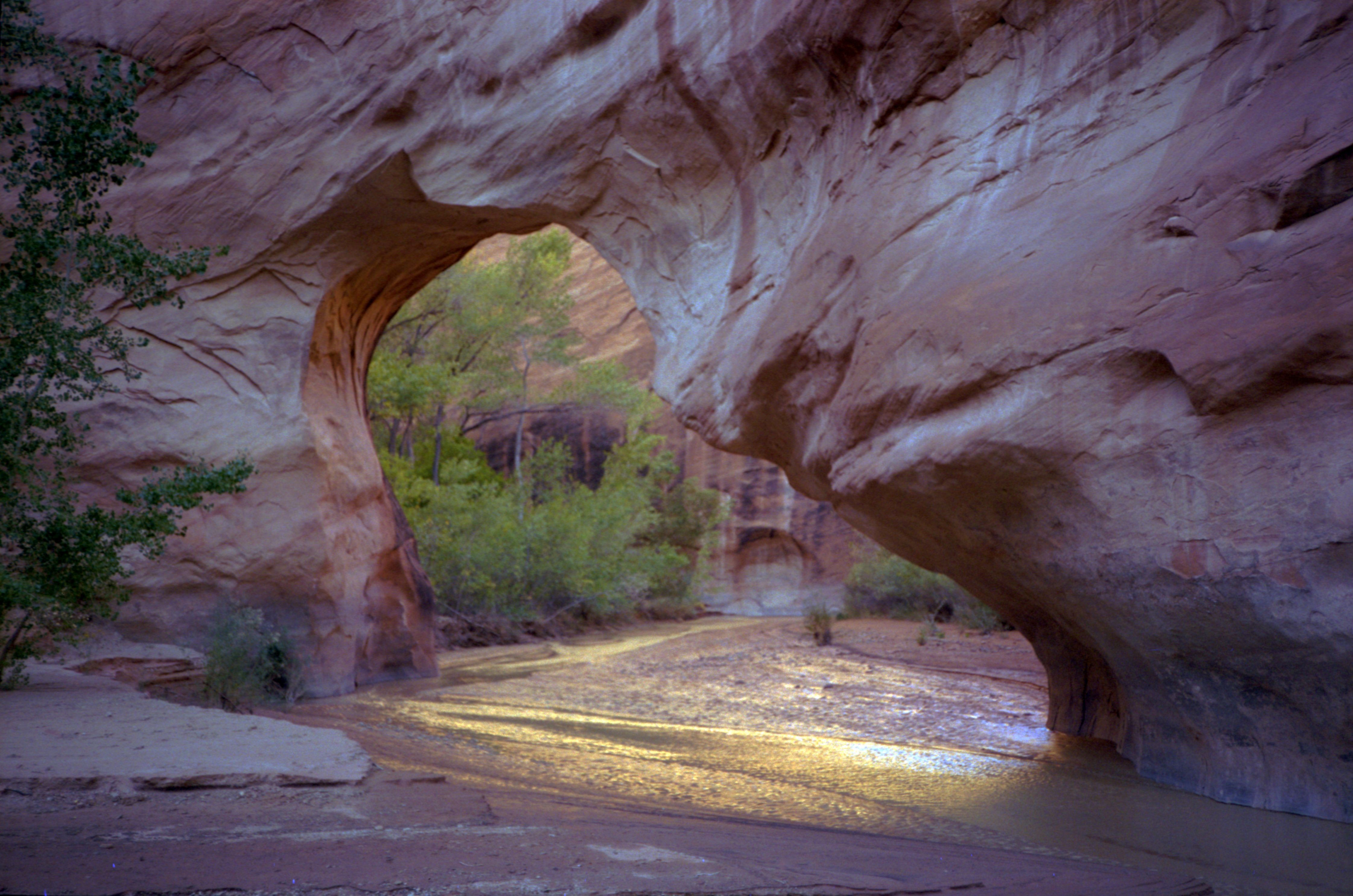 Coyote Natural Bridge