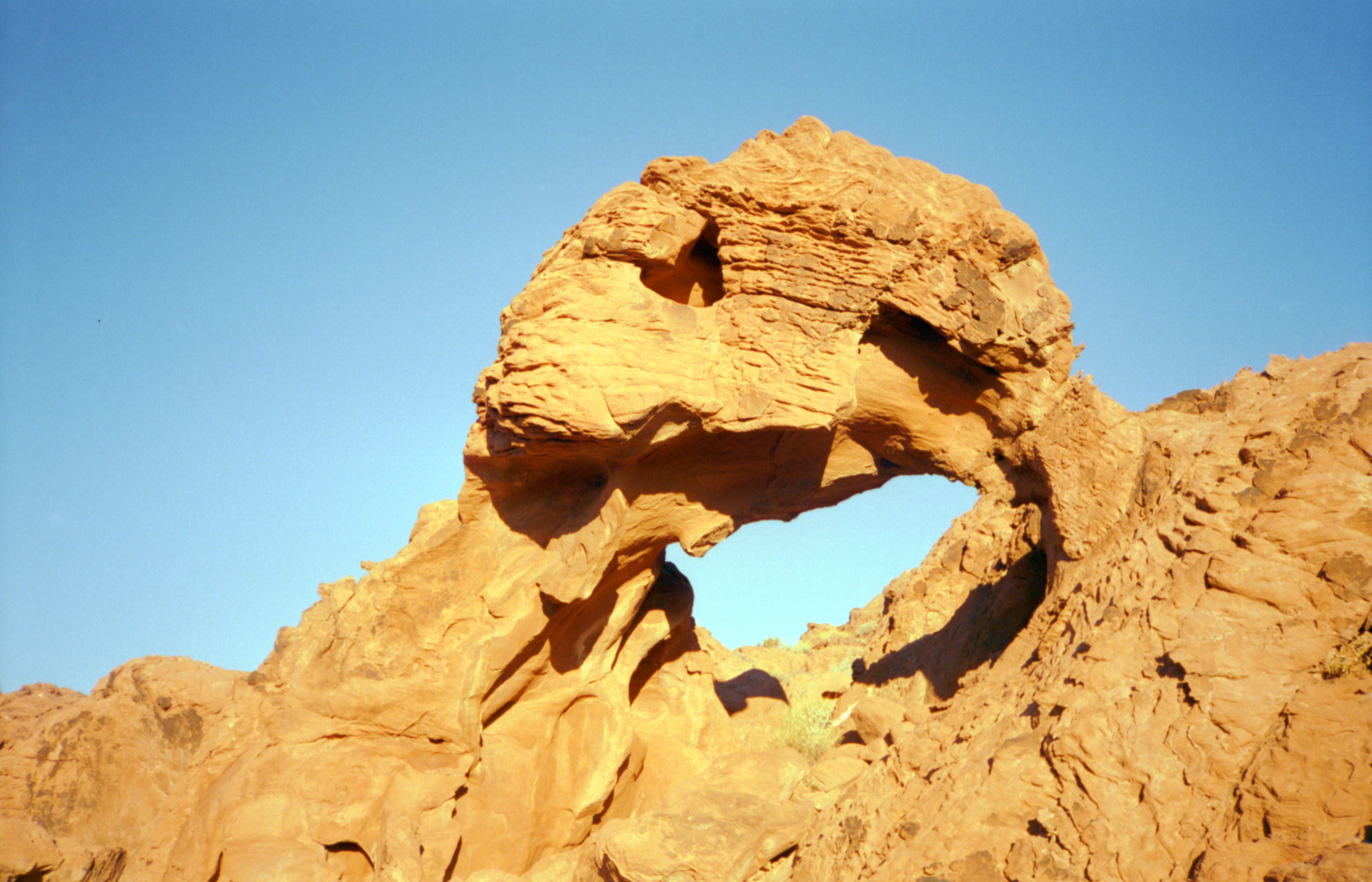 EagleHeadArch2.jpg