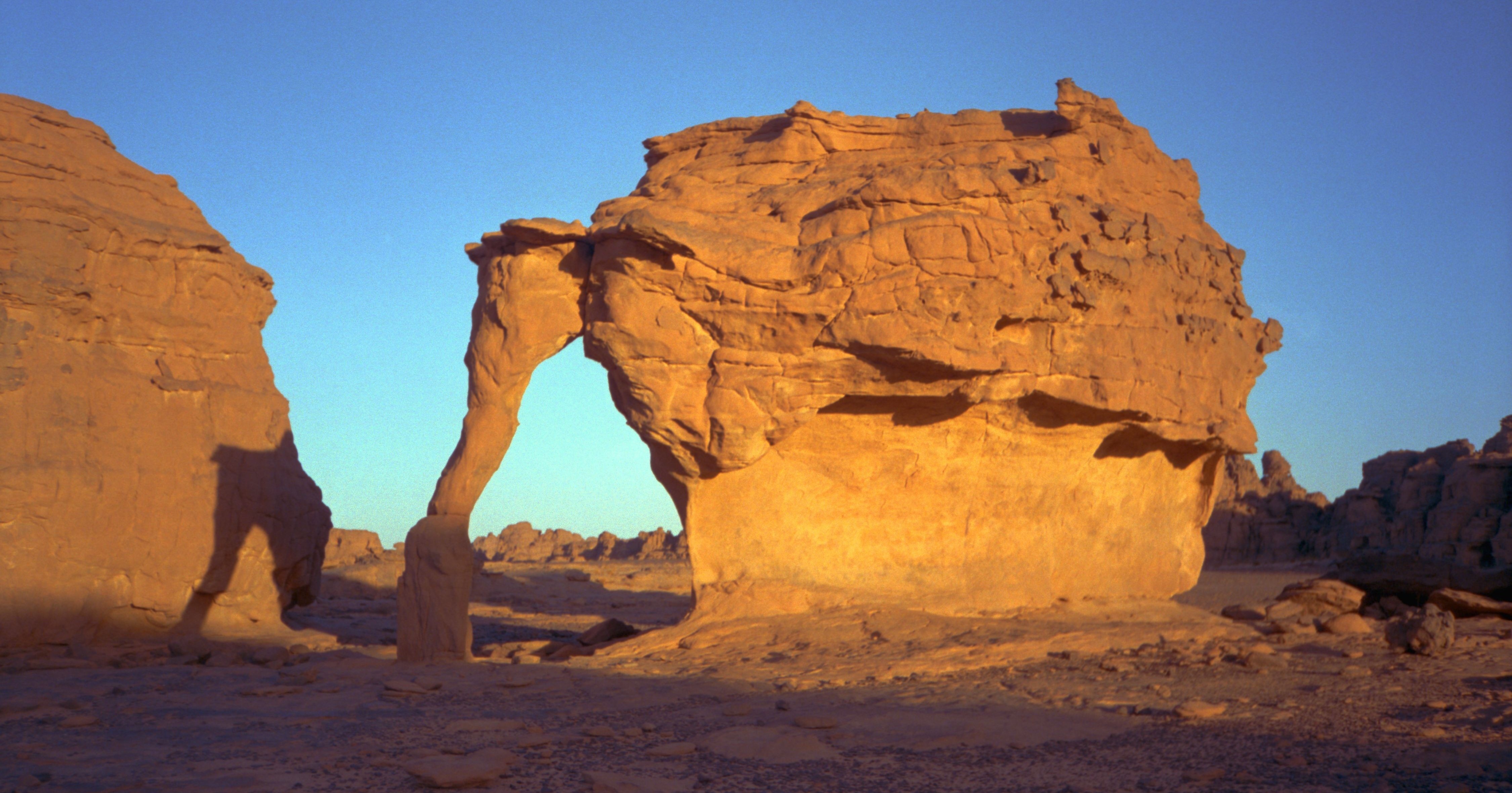 ElephantRockTNP4.jpg