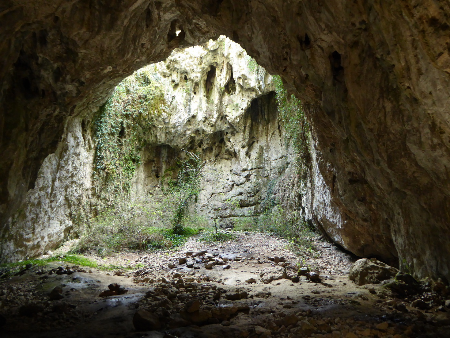 Grotteavenpeyrehaute1.jpg