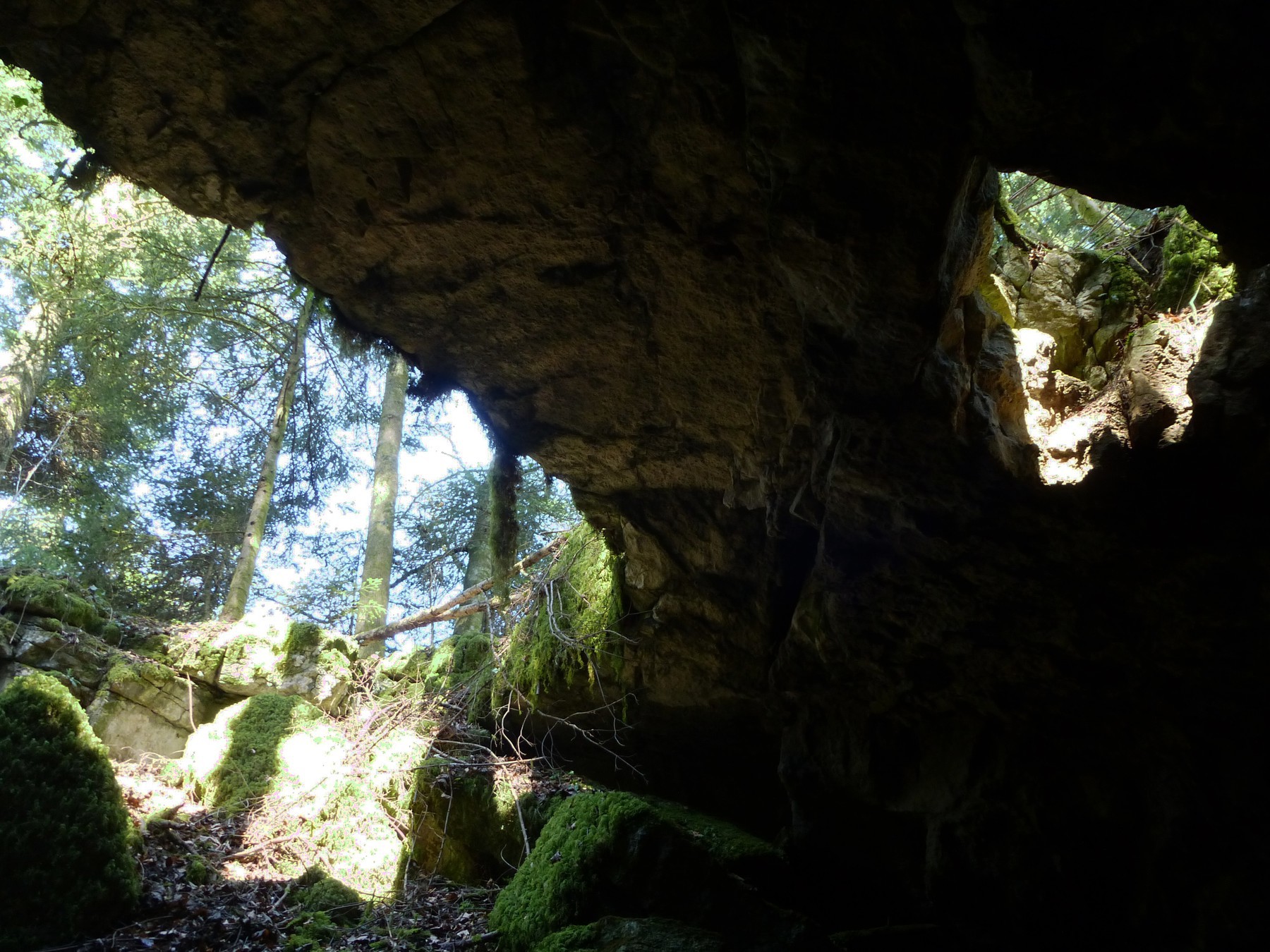 Grottebarme.jpg