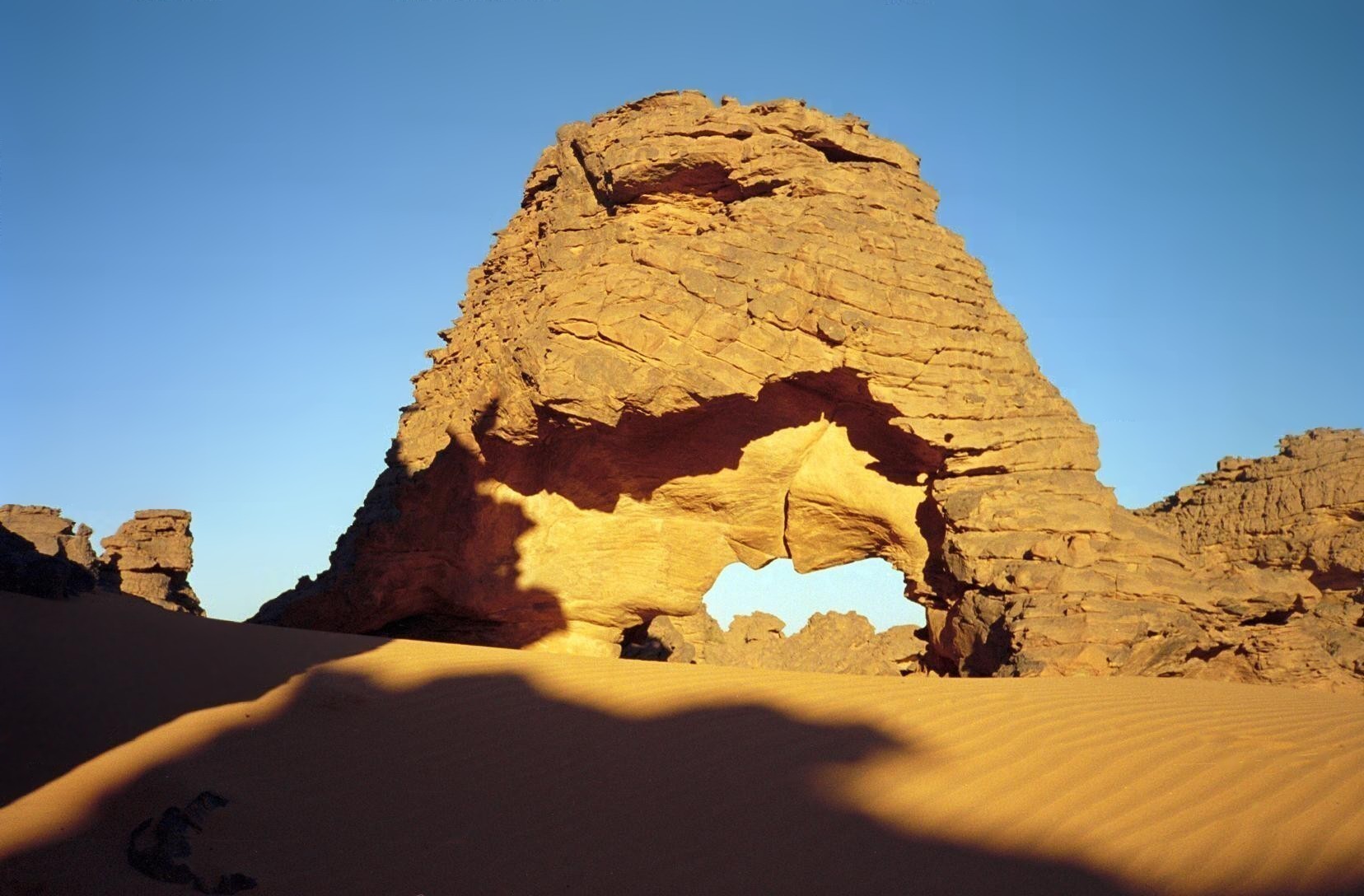 Ibouanarch.jpg