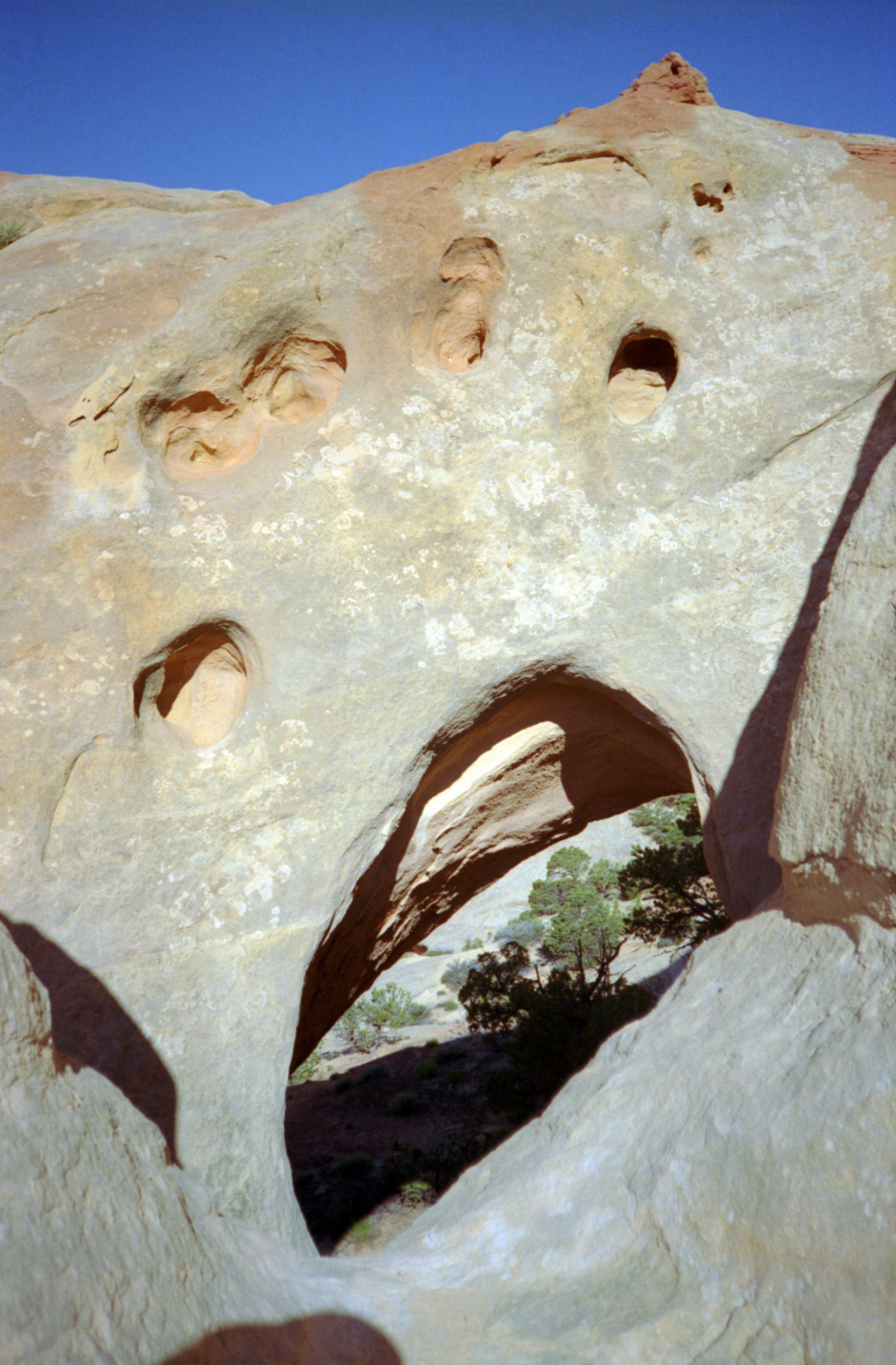 LavenderCanyon26.jpg