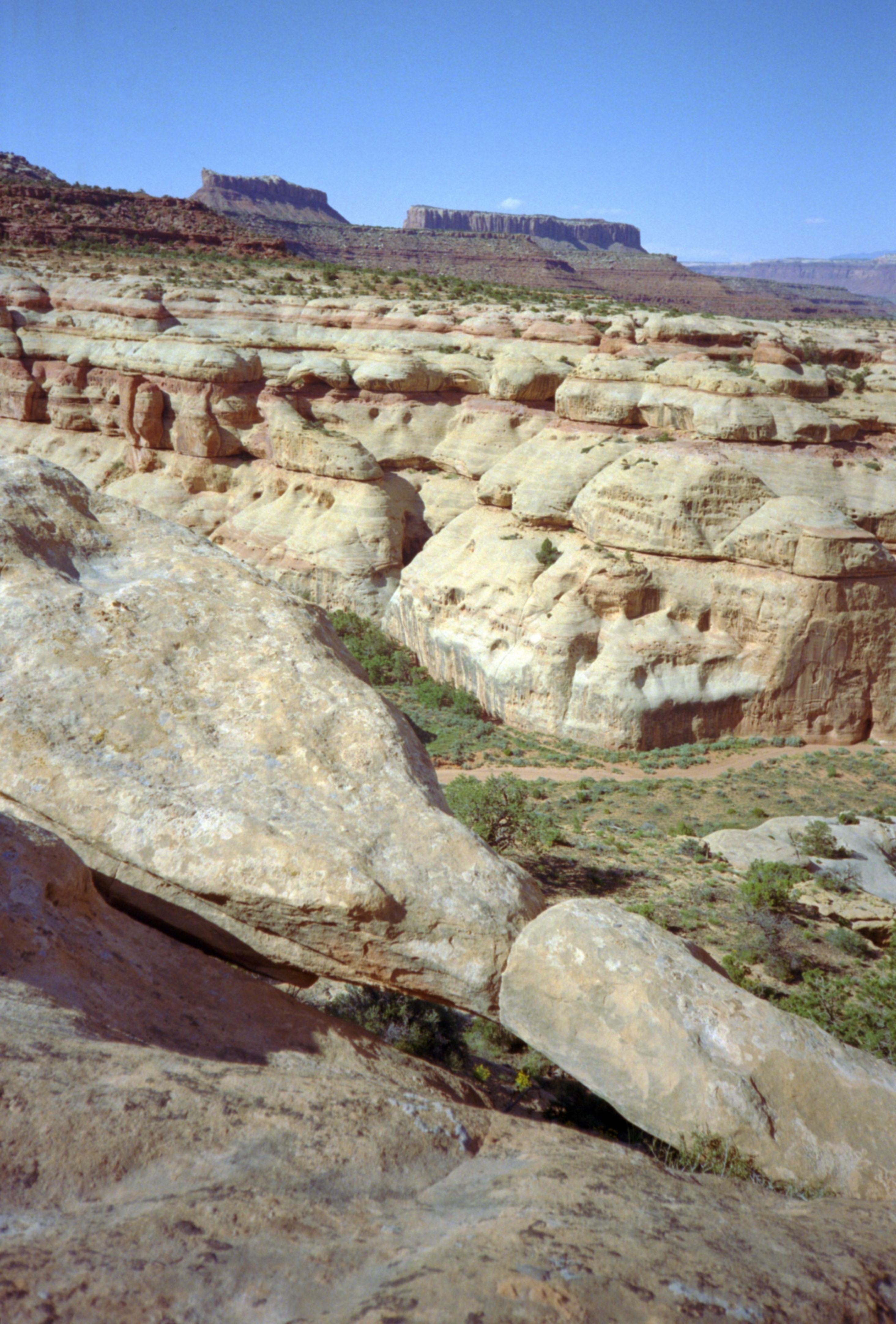 LavenderCanyon32.jpg
