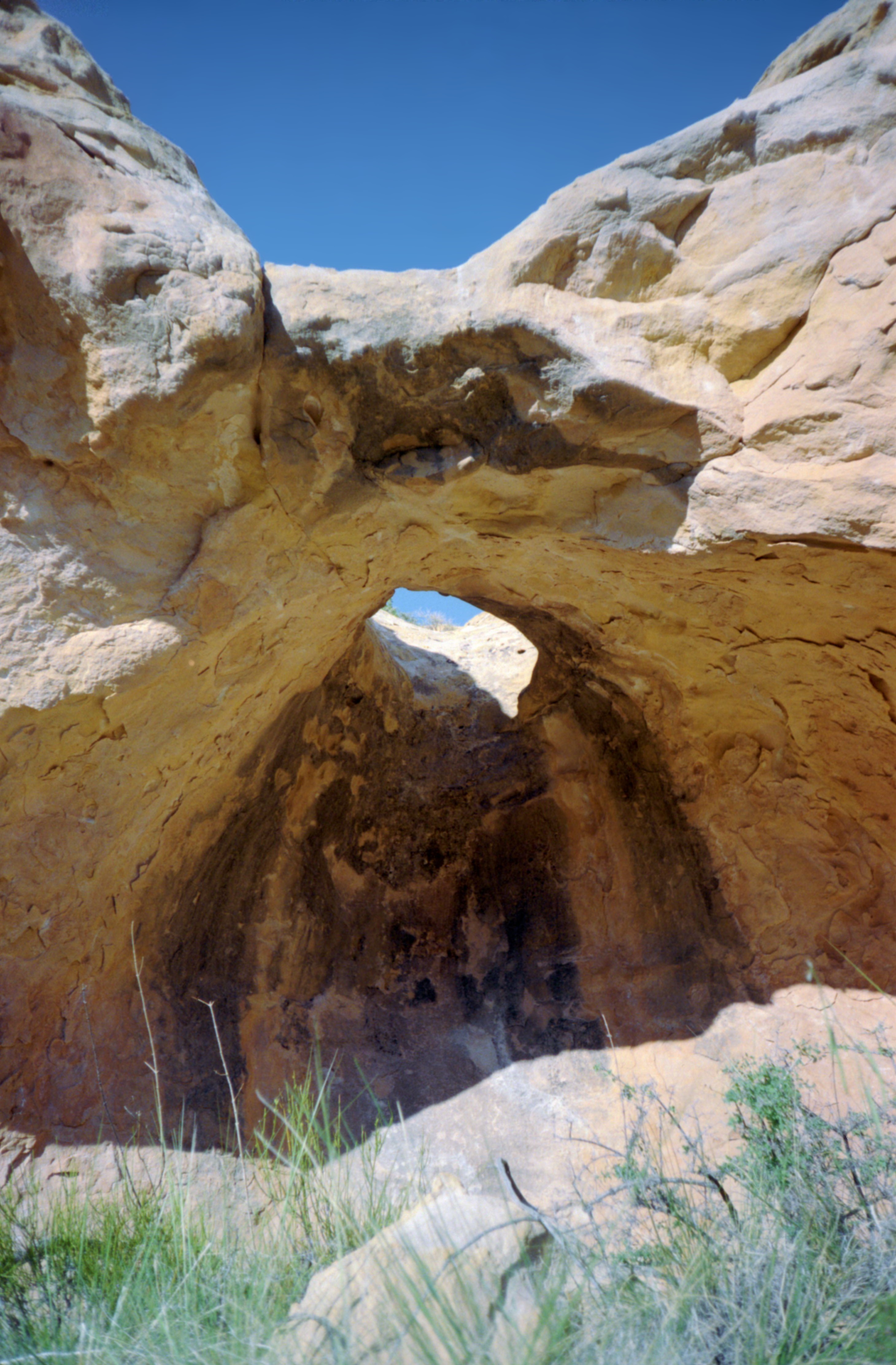 LavenderCanyon43.jpg