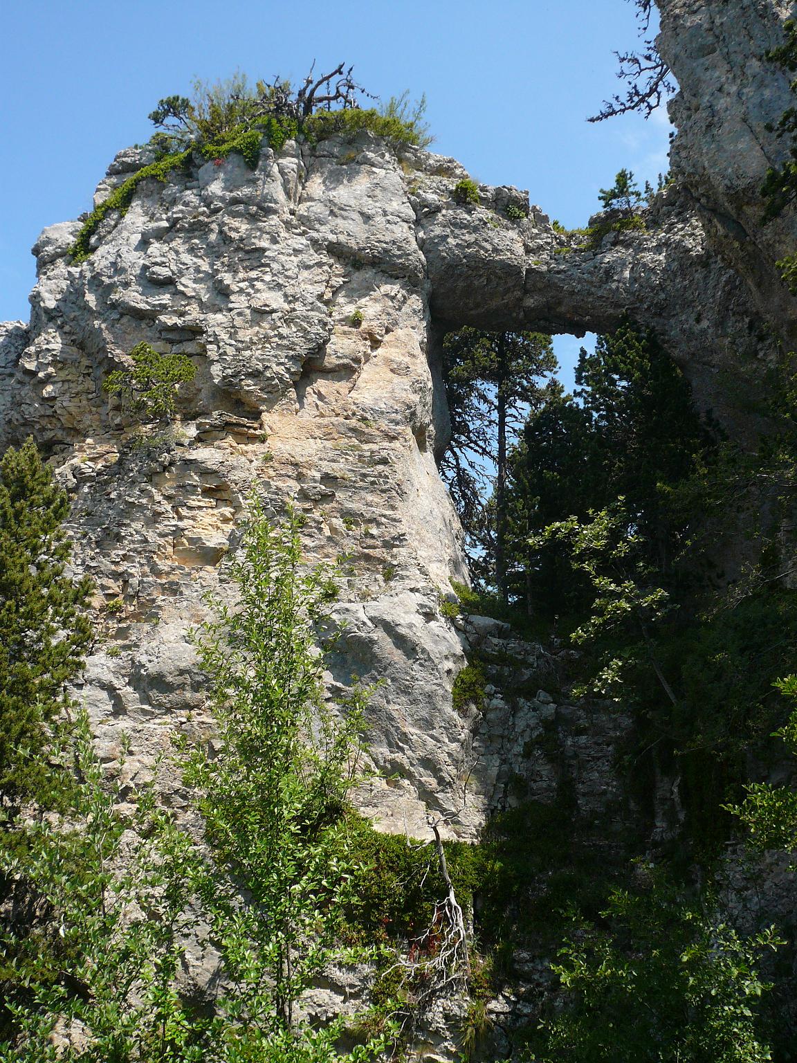 P1080490.JPG