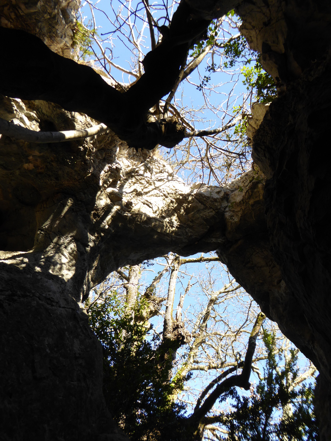 Piercedcaves10A.jpg