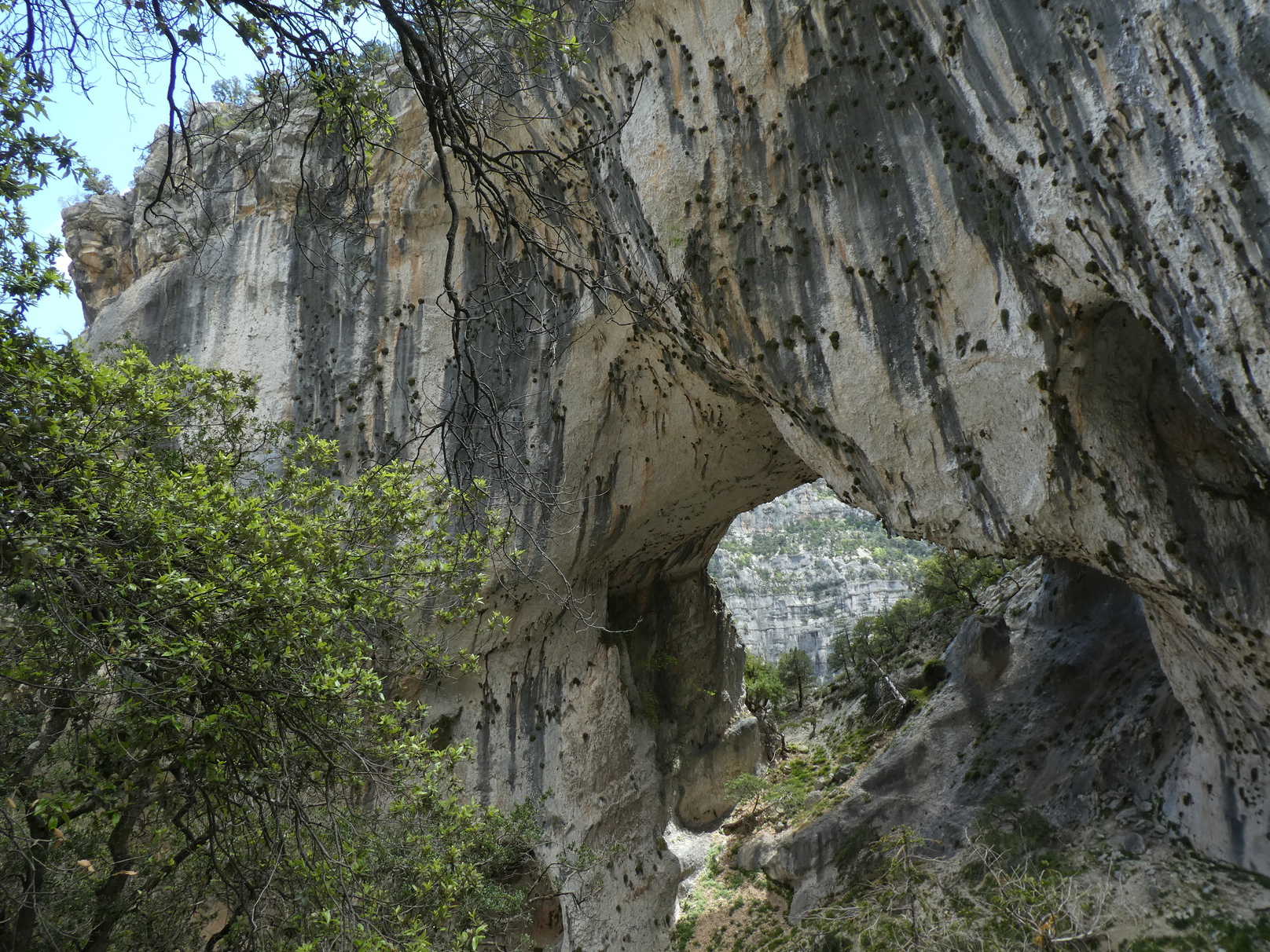 S'Arcada Manna