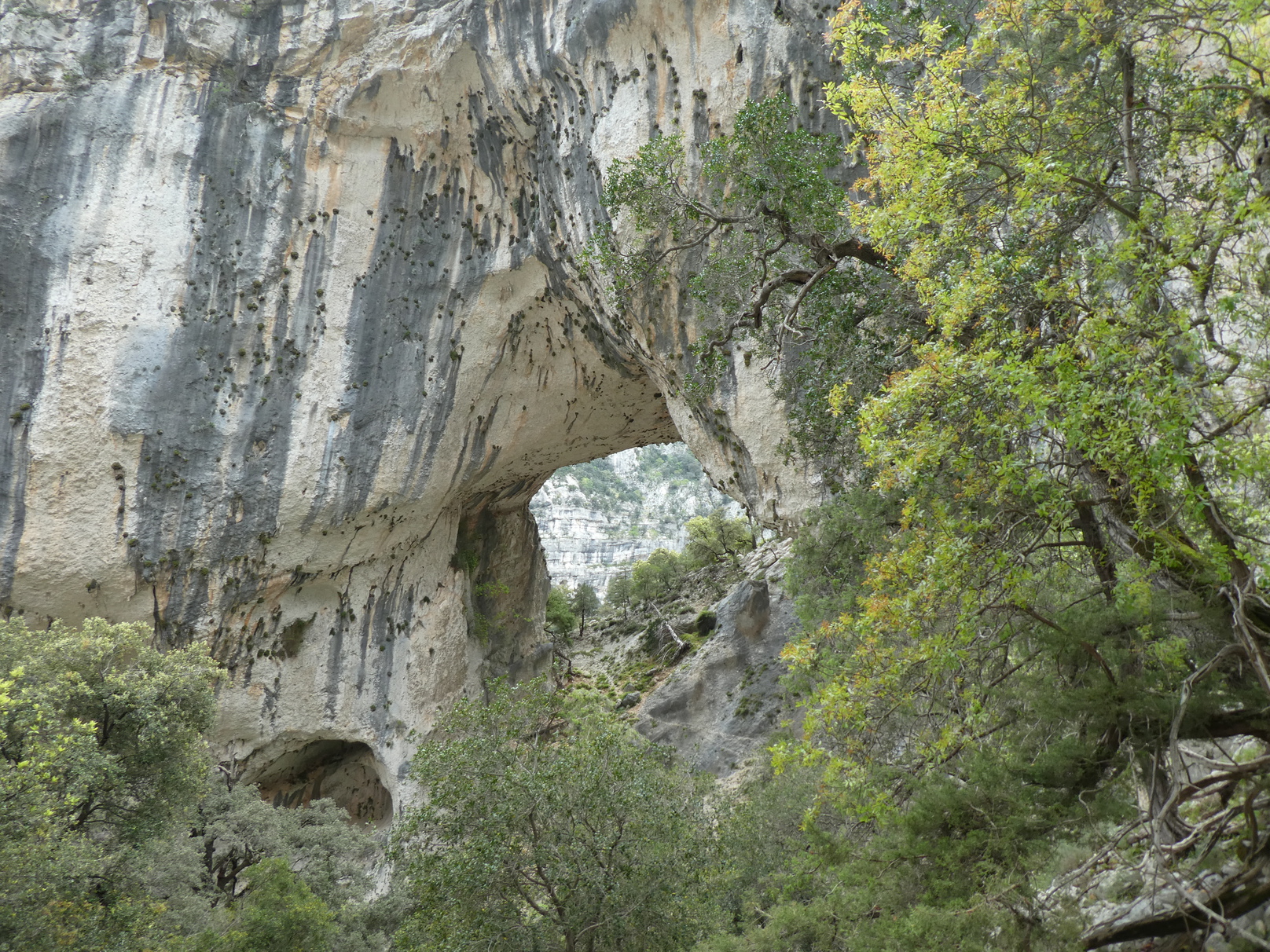S'Arcada Manna