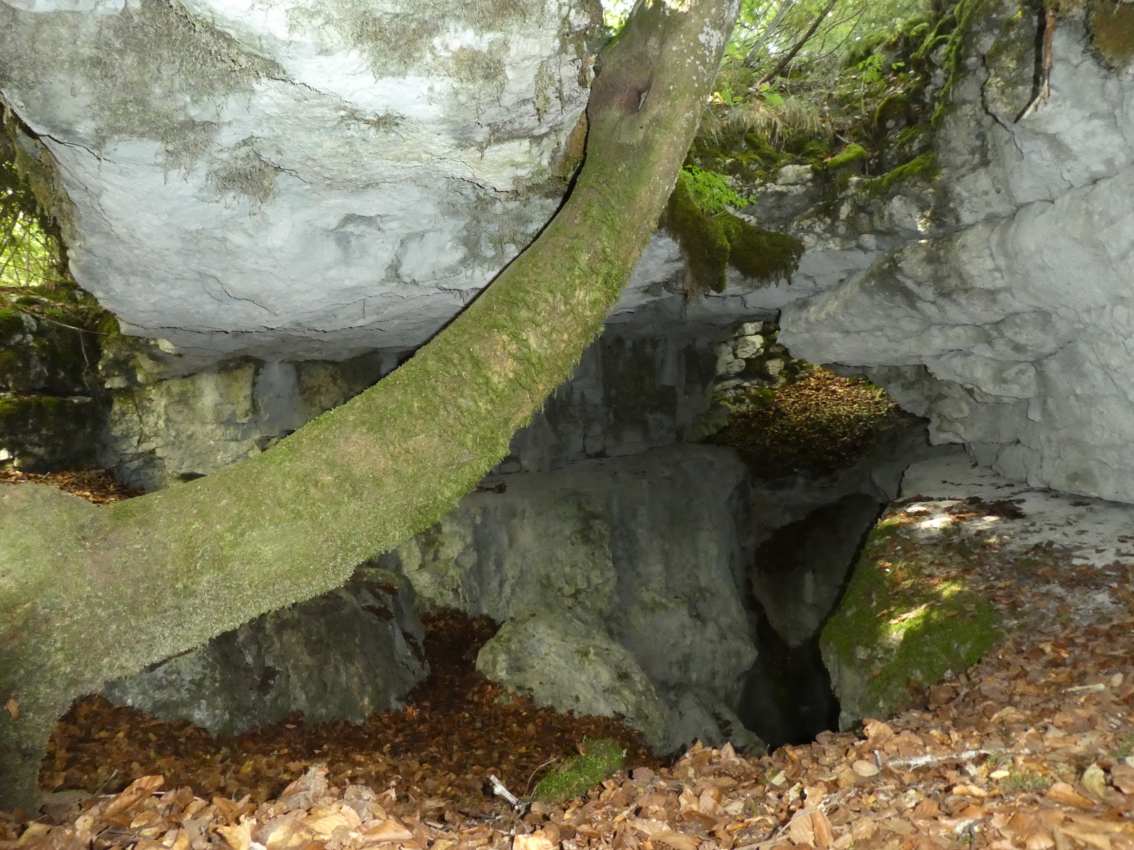 Scialet Couvert