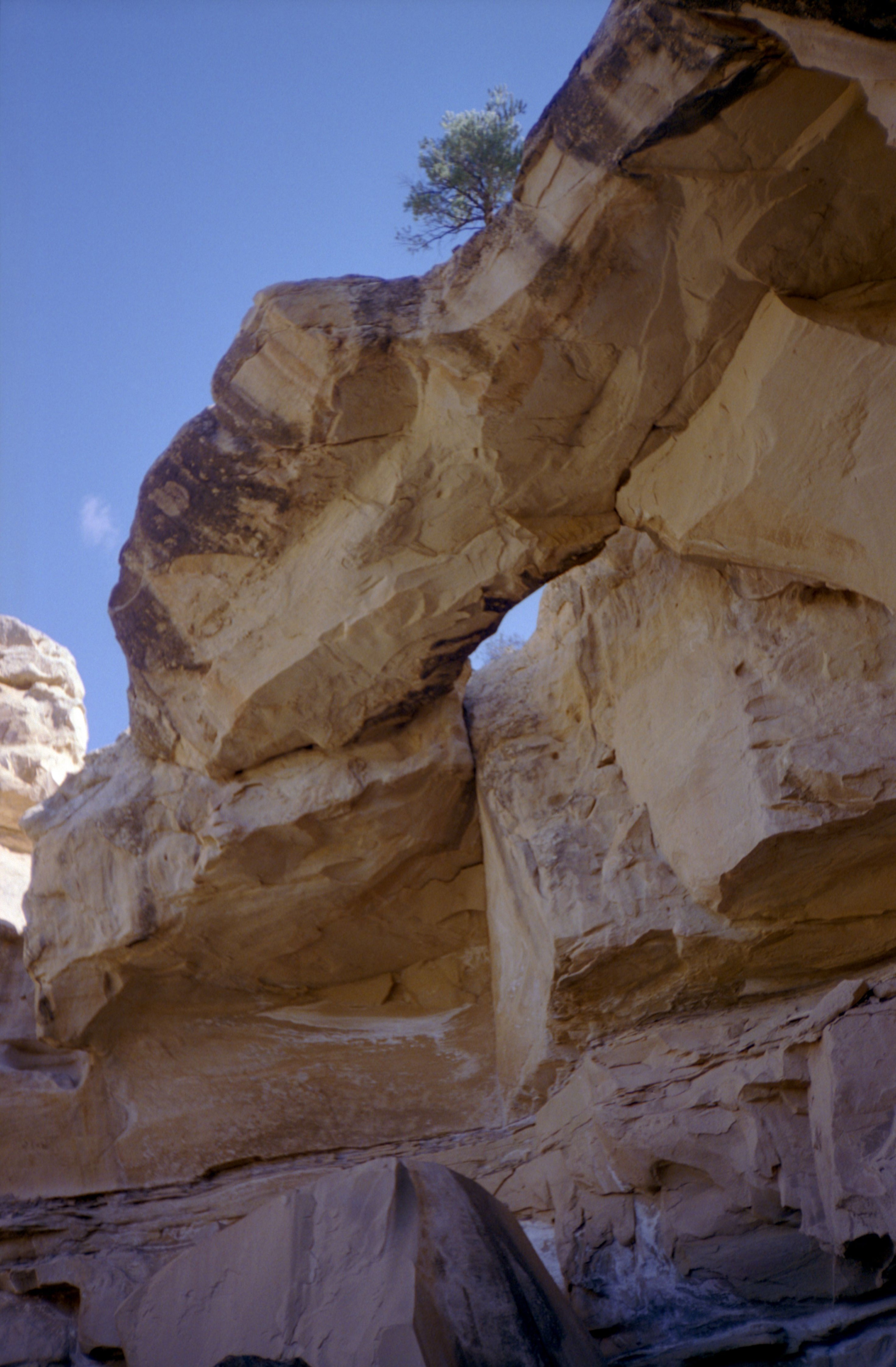 SegoCanyonArch.jpg