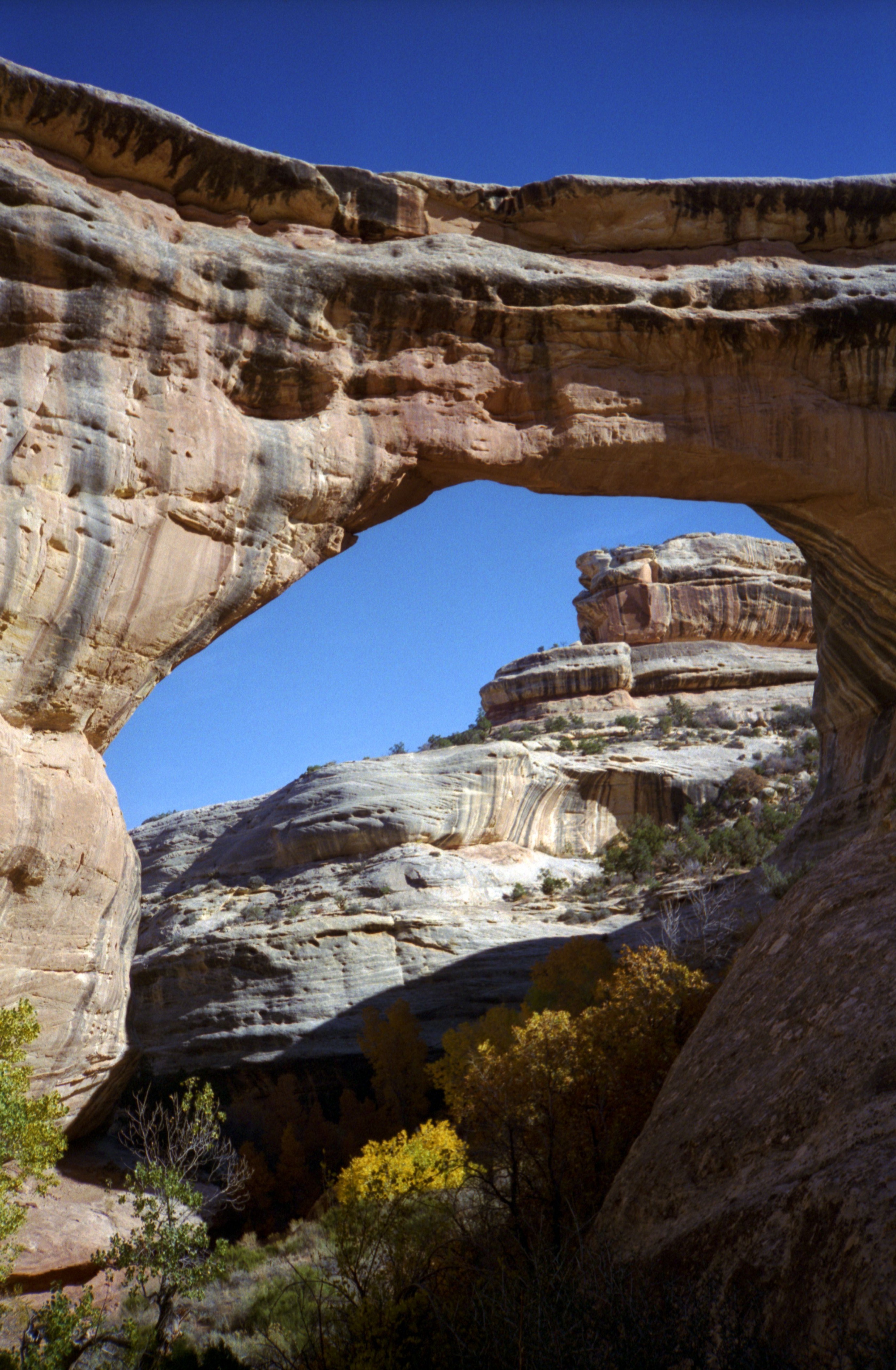 SipapuNaturalBridge2.jpg