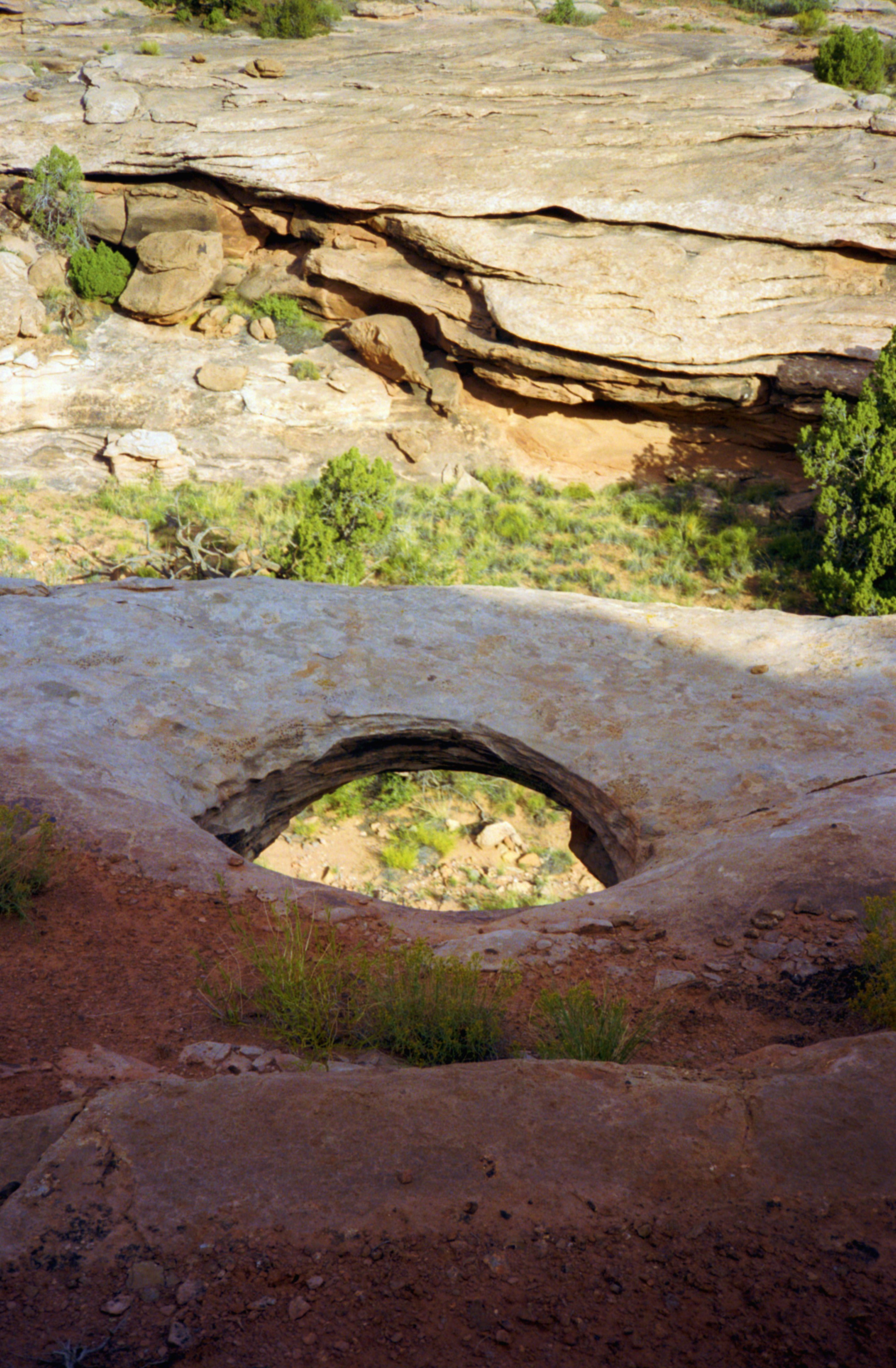 SkylightArchMOAB2.jpg