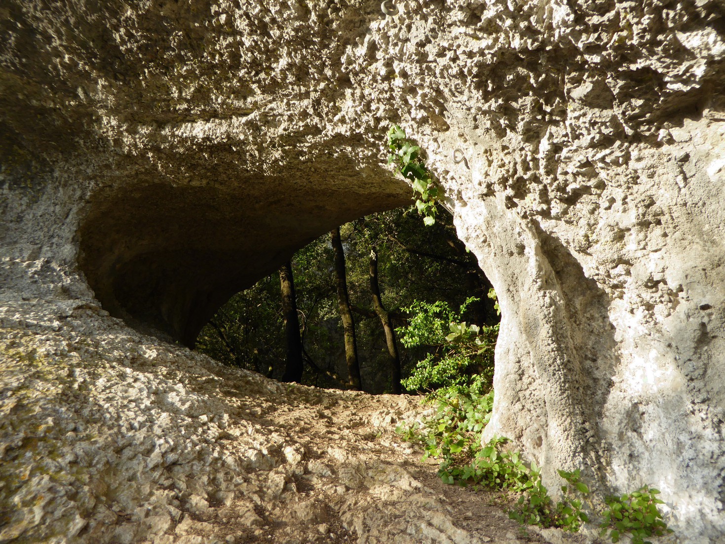 UAardeche33.jpg