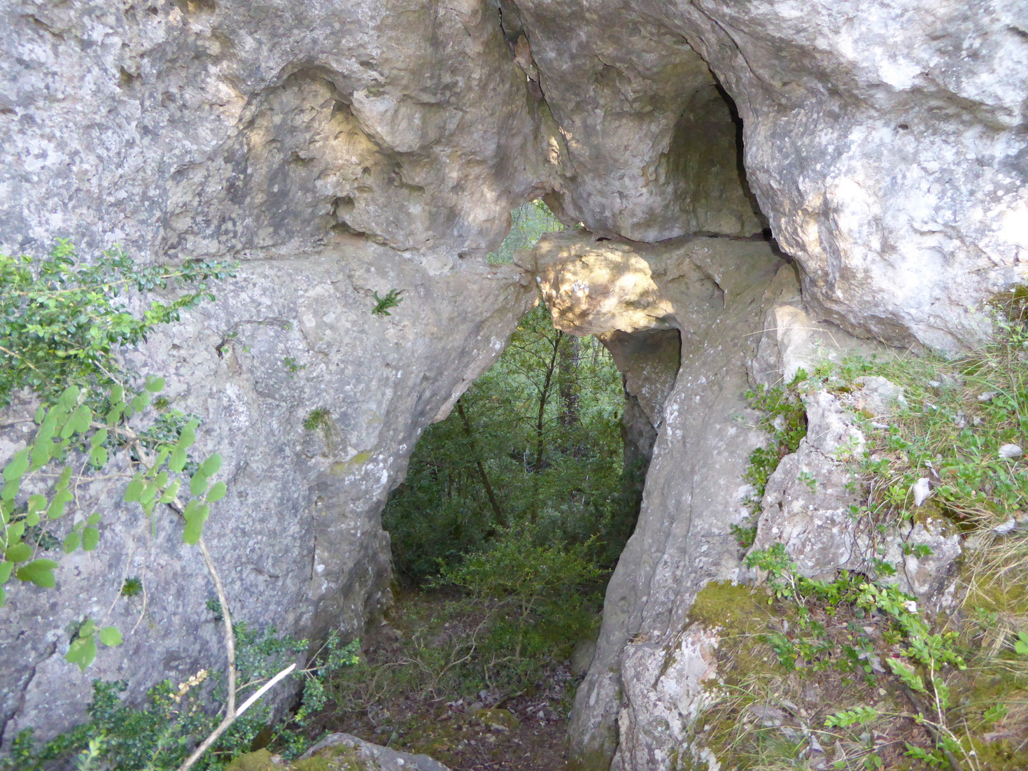 UAcaussenoir11.jpg