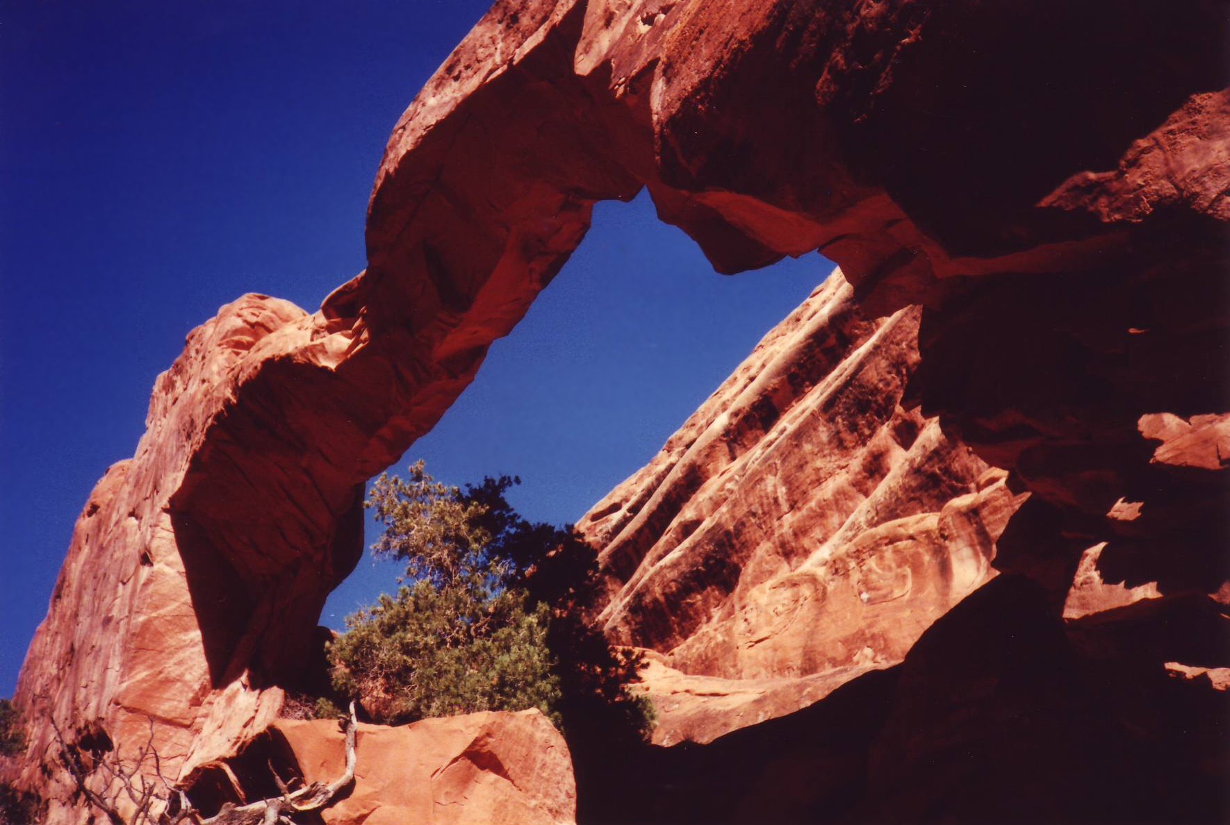 Wall Arch