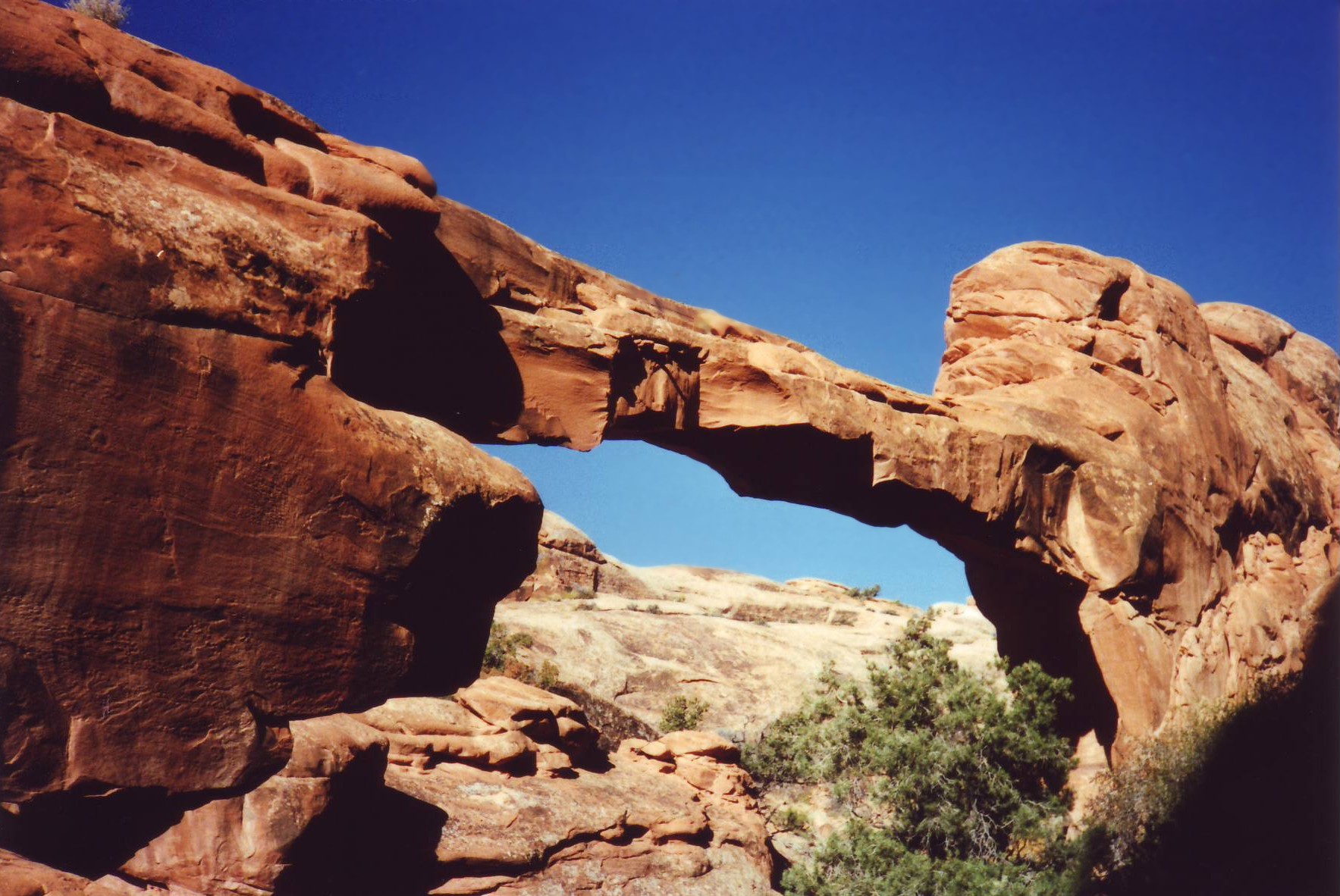 Wall Arch