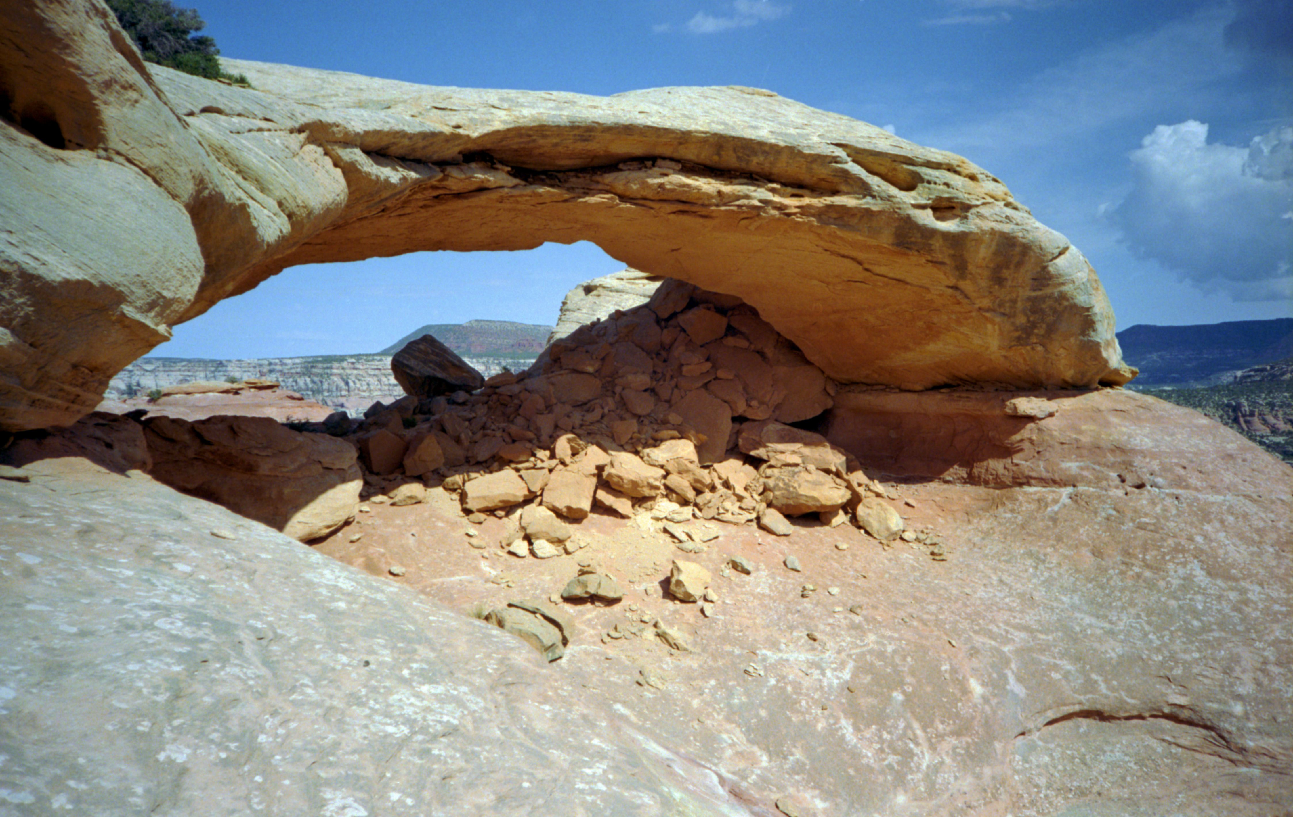 WeddingRingArch1.jpg