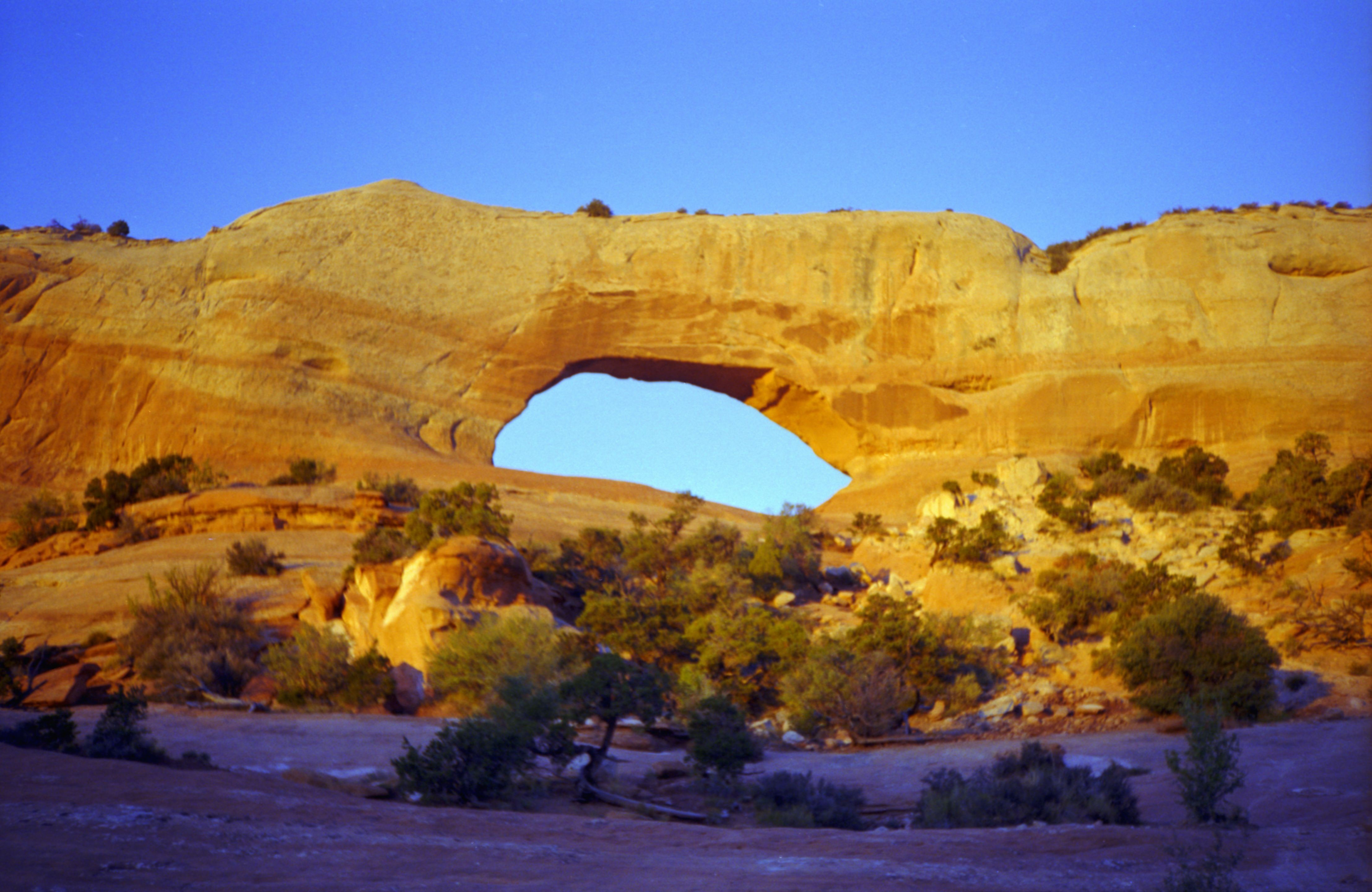 WilsonArch10.jpg